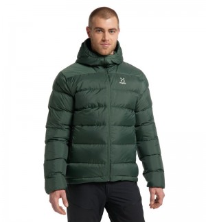 Men's Haglöfs Bield Down Hood Insulated Jackets Green Canada | XO82-582