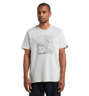 Men's Haglöfs Camp Tee T Shirts Grey Canada | AC22-808