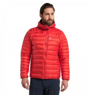 Men's Haglöfs Roc Down Hood Insulated Jackets Red Canada | AU55-727