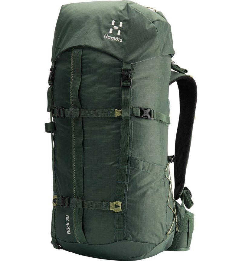 Men\'s Haglöfs Bäck 38 Hiking Backpacks Green / Green Canada | YT78-497