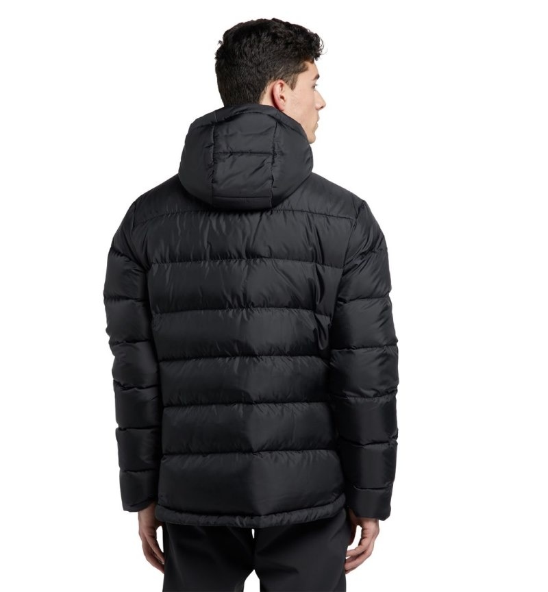 Men's Haglöfs Bield Down Hood Insulated Jackets Black Canada | AH02-849