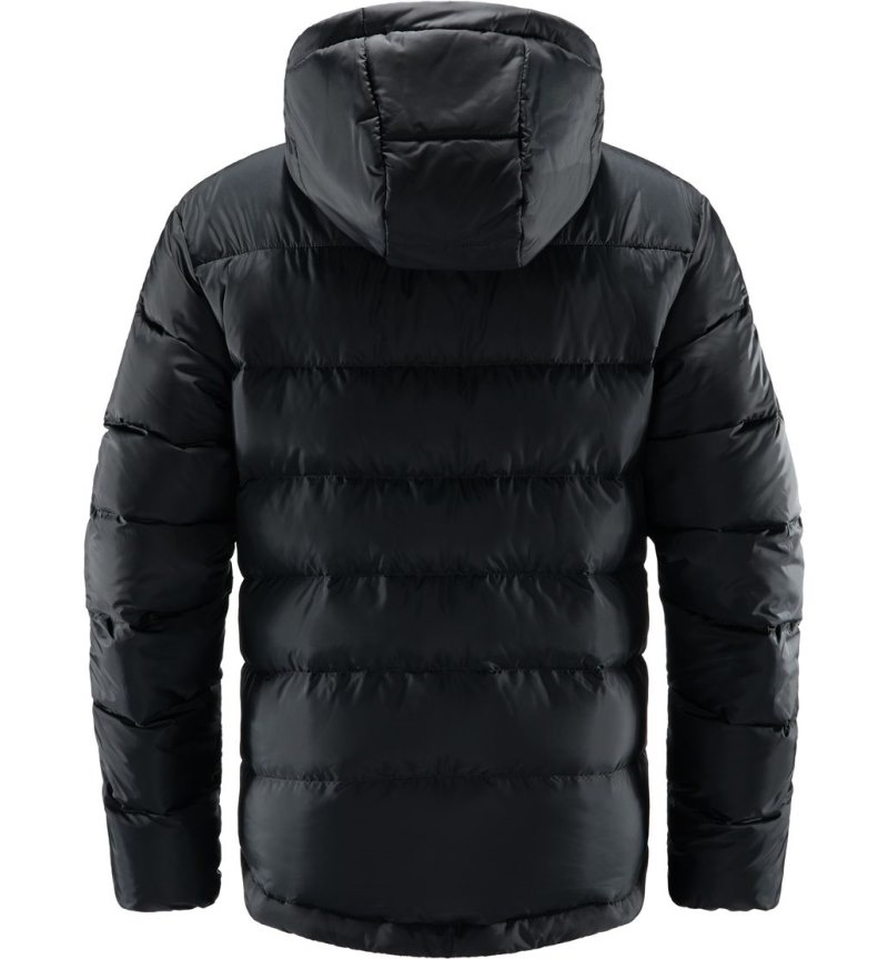 Men's Haglöfs Bield Down Hood Insulated Jackets Black Canada | AH02-849