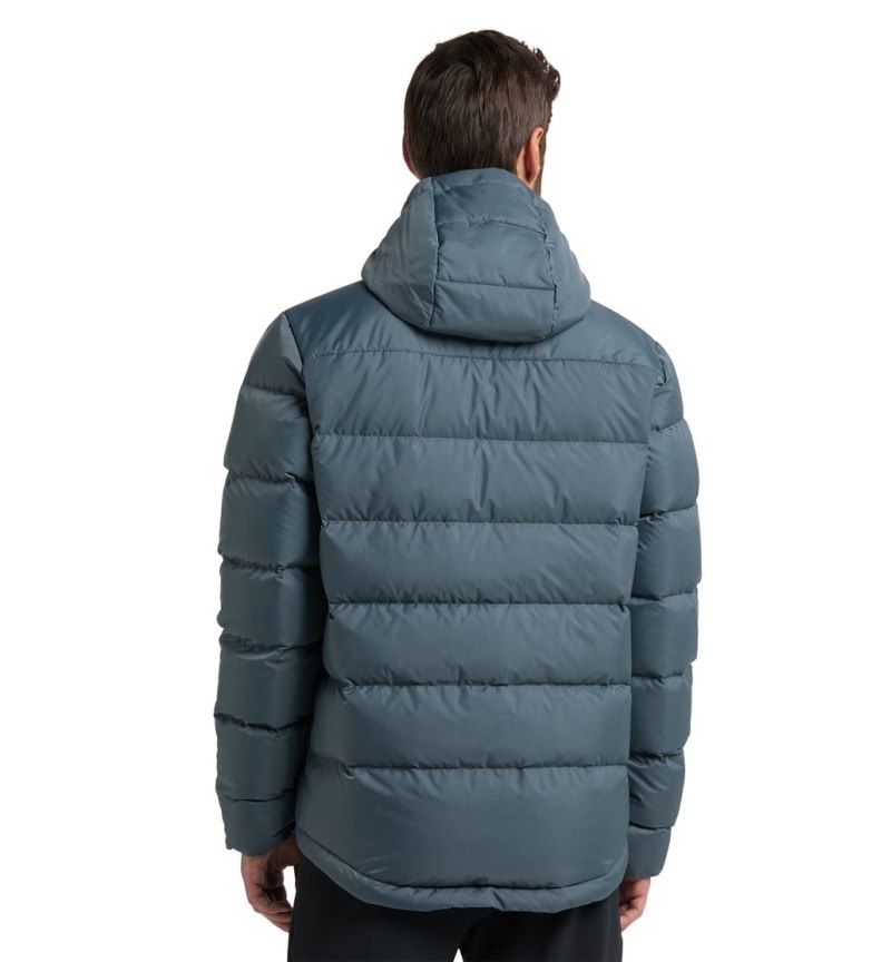 Men's Haglöfs Bield Down Hood Insulated Jackets Blue Canada | DG06-351