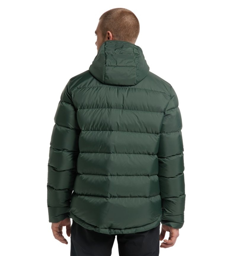 Men's Haglöfs Bield Down Hood Insulated Jackets Green Canada | XO82-582