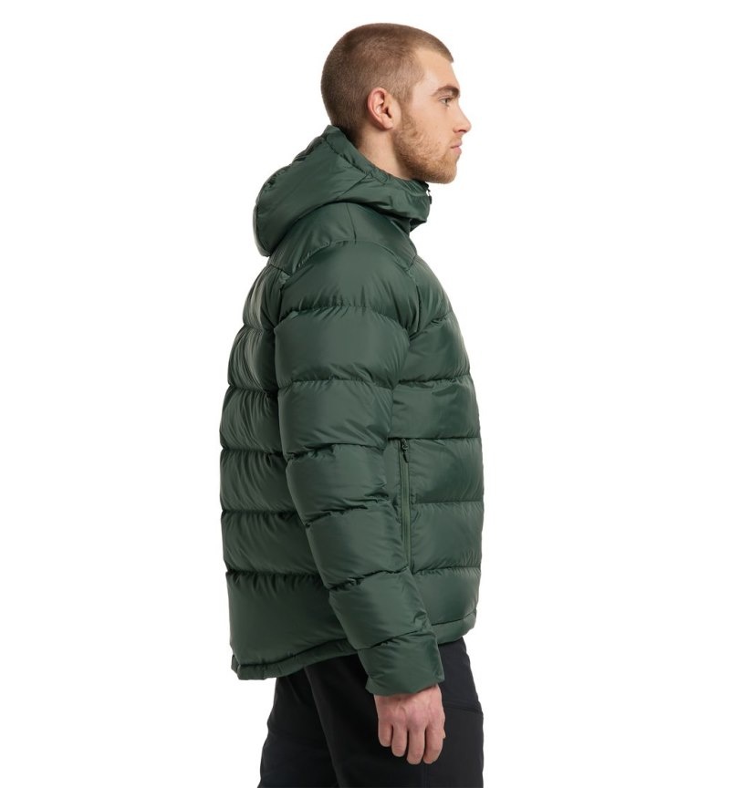 Men's Haglöfs Bield Down Hood Insulated Jackets Green Canada | XO82-582