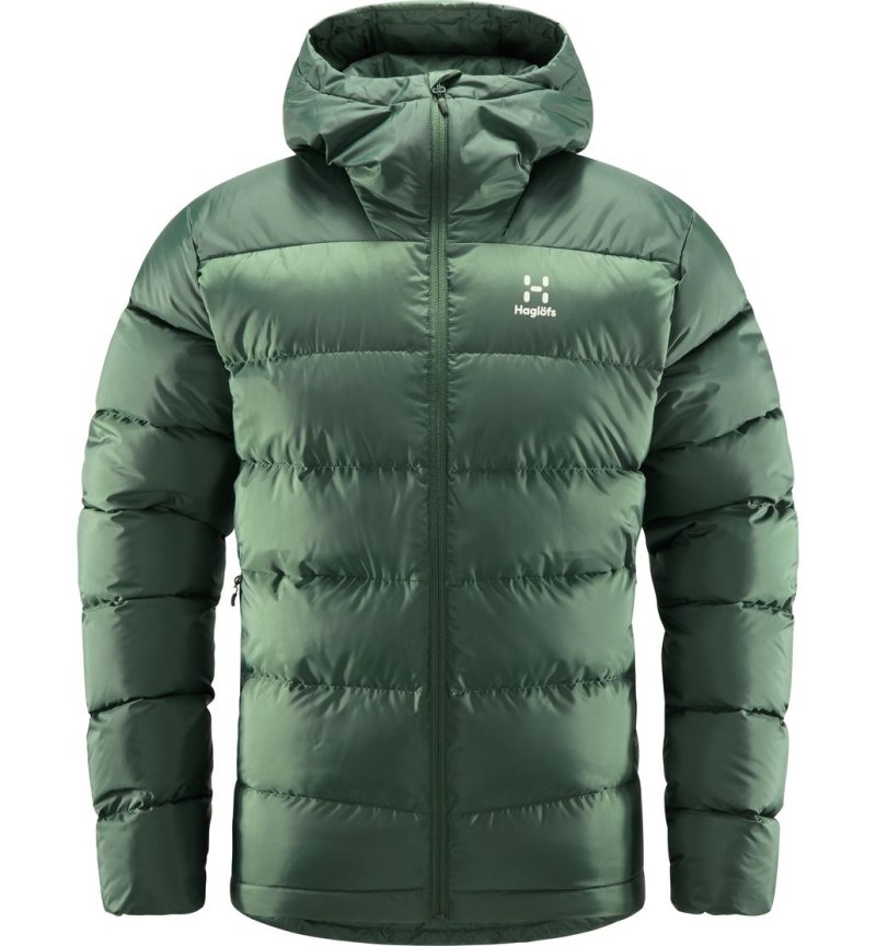 Men's Haglöfs Bield Down Hood Insulated Jackets Green Canada | XO82-582