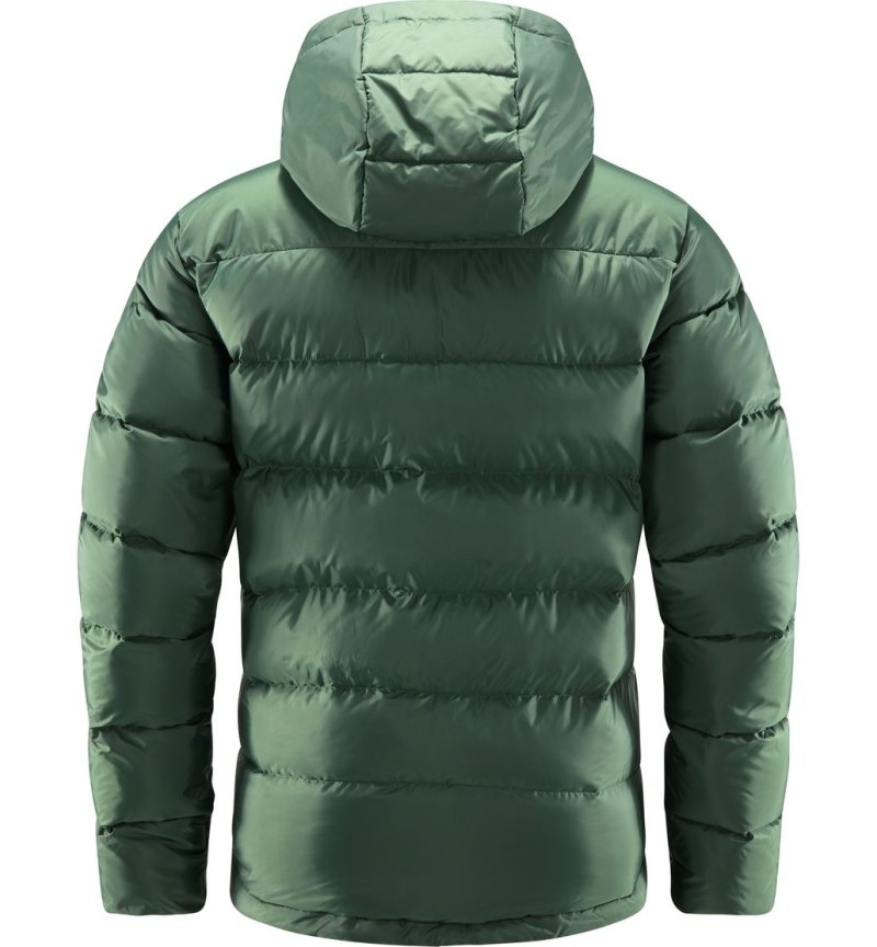 Men's Haglöfs Bield Down Hood Insulated Jackets Green Canada | XO82-582