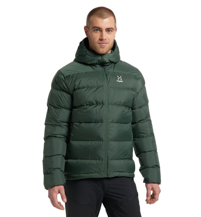 Men\'s Haglöfs Bield Down Hood Insulated Jackets Green Canada | XO82-582