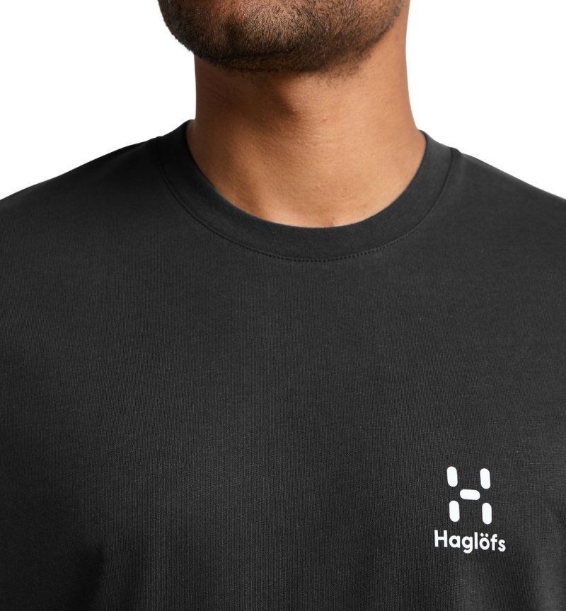 Men's Haglöfs Camp Tee T Shirts Black Canada | LB56-047