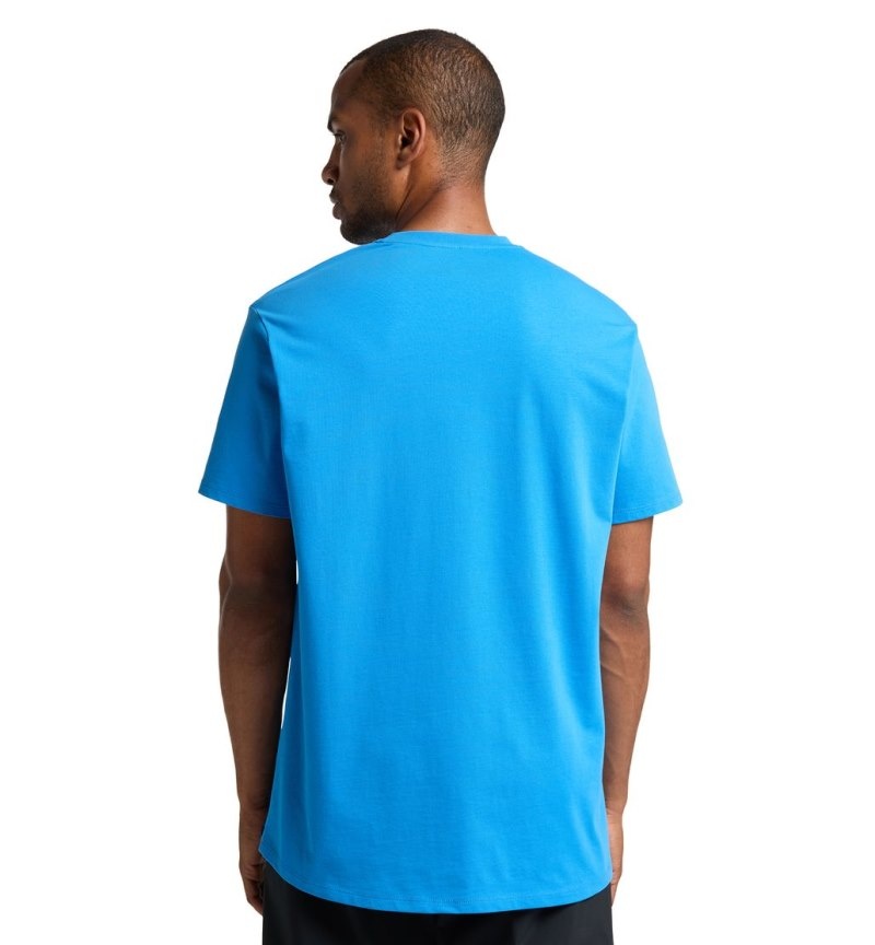 Men's Haglöfs Camp Tee T Shirts Blue Canada | YQ97-121