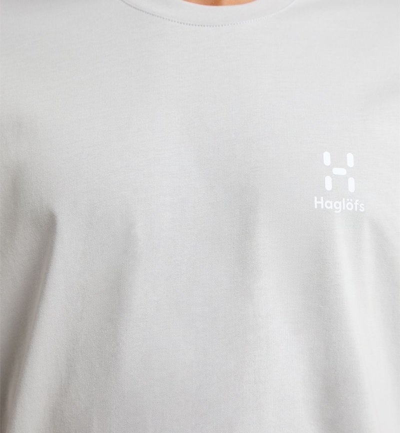 Men's Haglöfs Camp Tee T Shirts Grey Canada | YU69-718