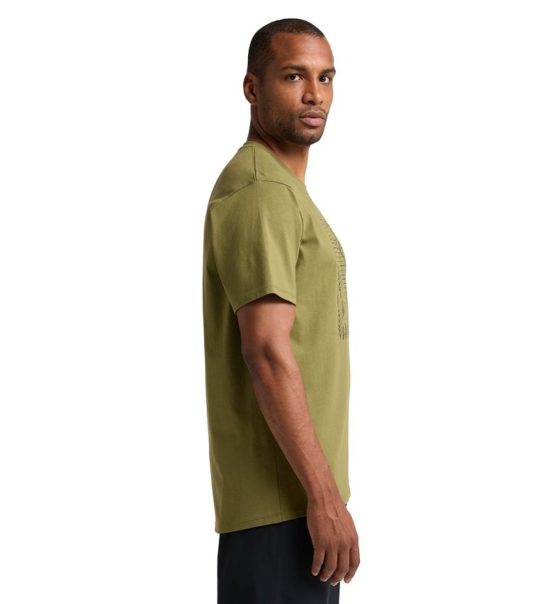 Men's Haglöfs Camp Tee T Shirts Olive Green Canada | MG95-750