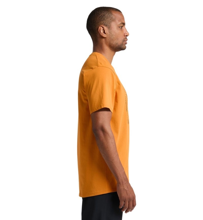 Men's Haglöfs Camp Tee T Shirts Yellow Canada | TB46-399