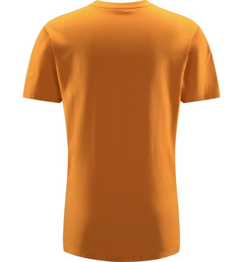 Men's Haglöfs Camp Tee T Shirts Yellow Canada | TB46-399