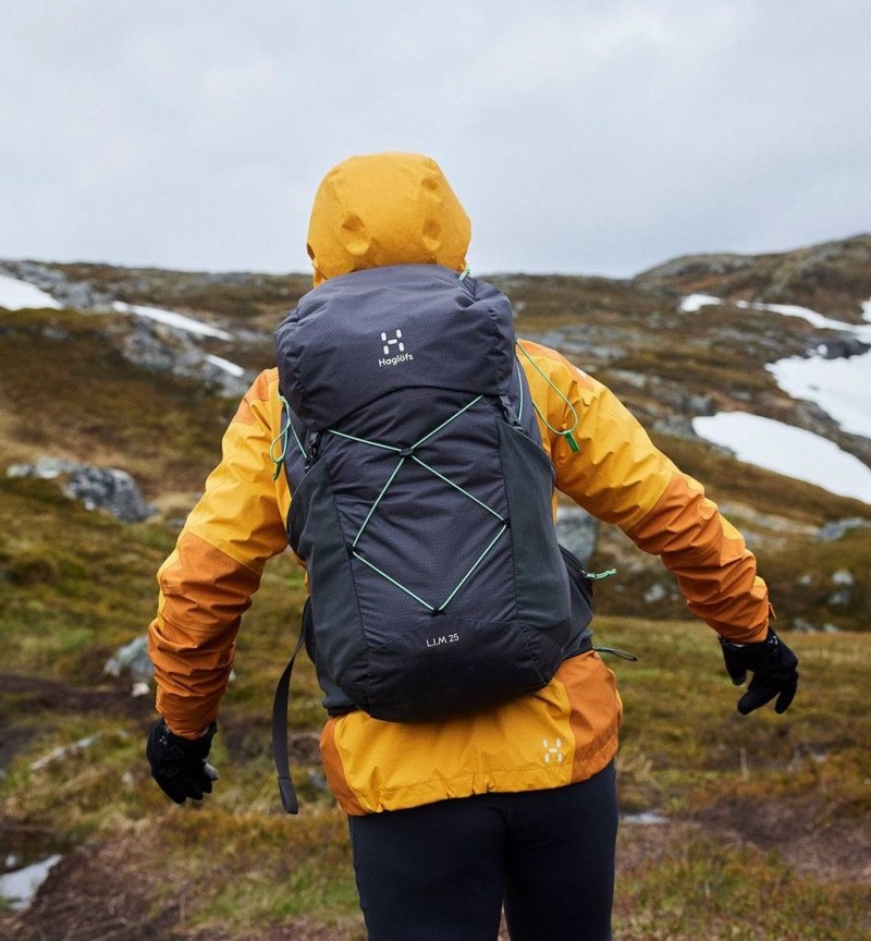 Men's Haglöfs L.I.M 25 Hiking Backpacks Dark Ocean / Blue Canada | ZA25-215