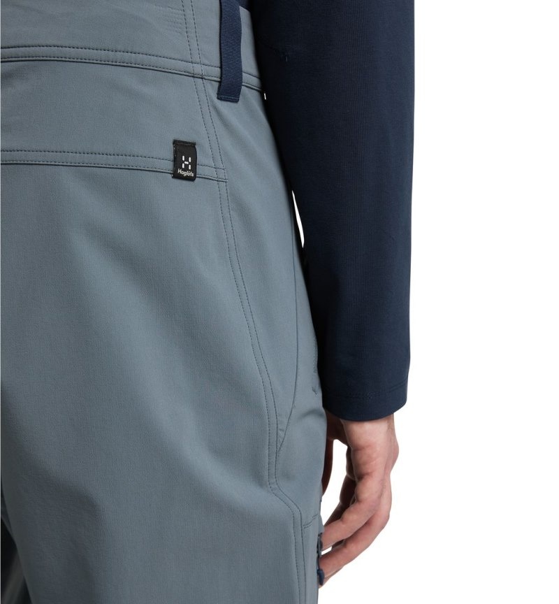 Men's Haglöfs Morän Softshell Standard Pant Softshell Trousers Blue Canada | NM45-922