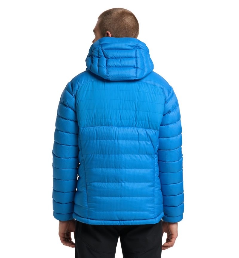 Men's Haglöfs Reliable Down Hood Insulated Jackets Blue Canada | QS09-045