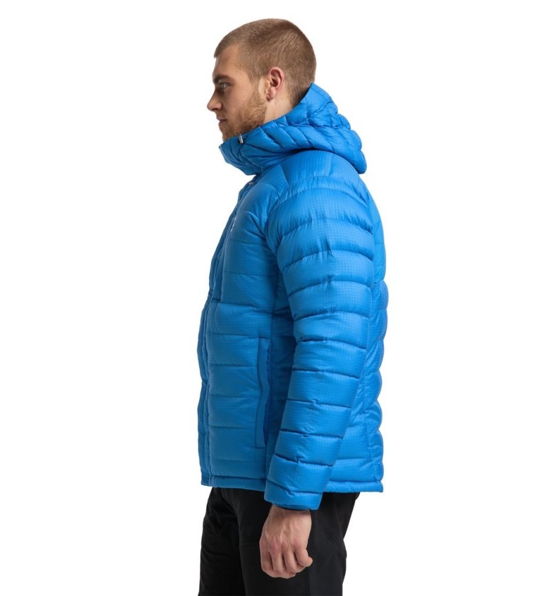 Men's Haglöfs Reliable Down Hood Insulated Jackets Blue Canada | QS09-045