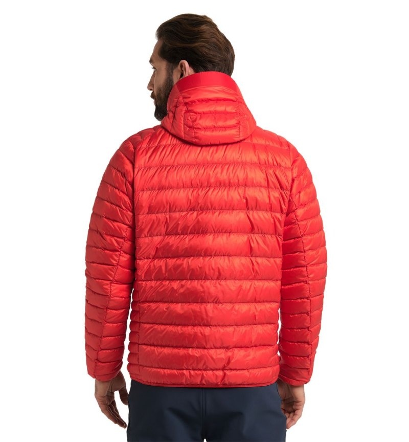 Men's Haglöfs Roc Down Hood Insulated Jackets Red Canada | AU55-727