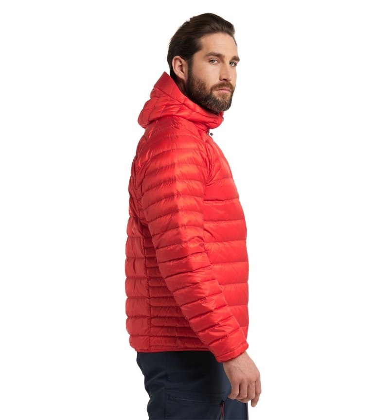 Men's Haglöfs Roc Down Hood Insulated Jackets Red Canada | AU55-727