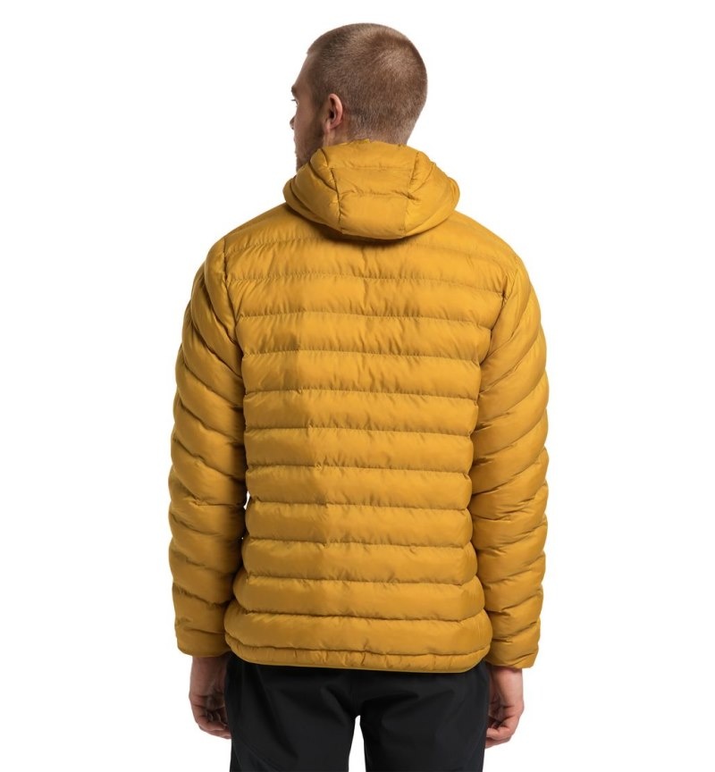 Men's Haglöfs Särna Mimic Hood Insulated Jackets Autumn Leaves Canada | VO89-257