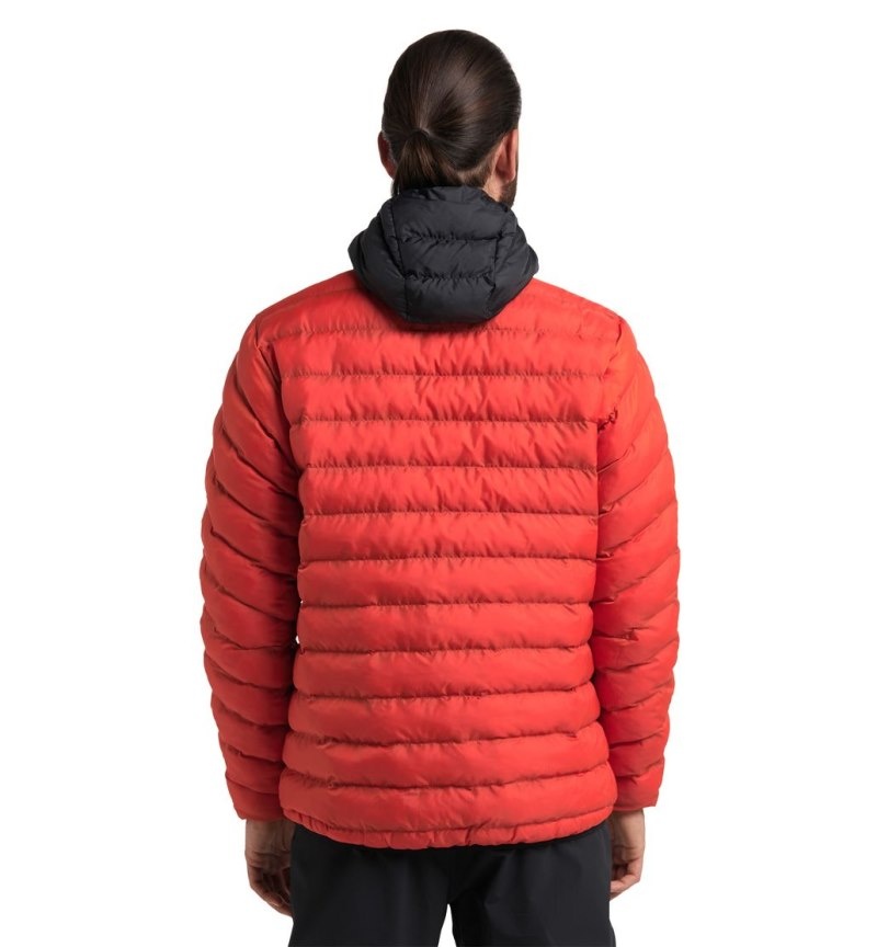 Men's Haglöfs Särna Mimic Hood Insulated Jackets Habanero / Black Canada | ZH25-119