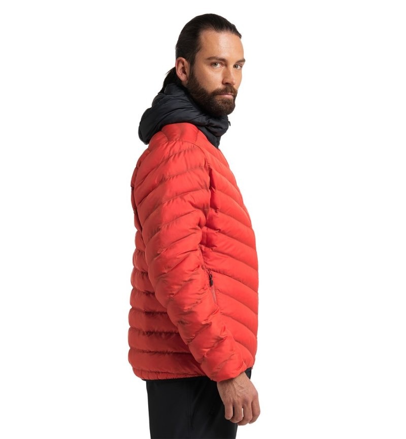 Men's Haglöfs Särna Mimic Hood Insulated Jackets Habanero / Black Canada | ZH25-119