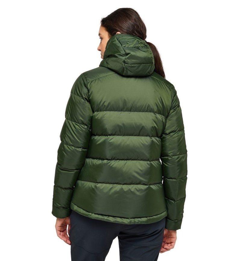 Women's Haglöfs Bield Down Hood Insulated Jackets Green Canada | JR45-464