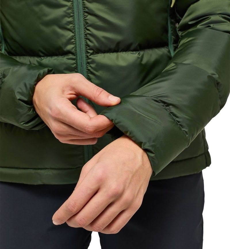 Women's Haglöfs Bield Down Hood Insulated Jackets Green Canada | JR45-464