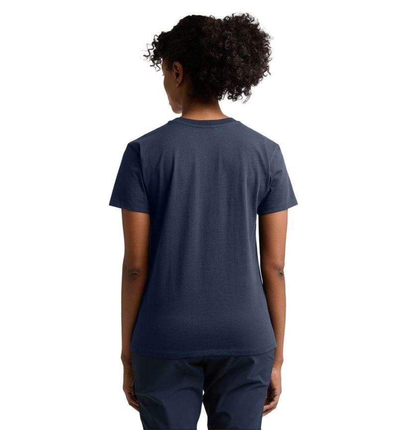 Women's Haglöfs Camp Tee T Shirts Blue Canada | FM96-767