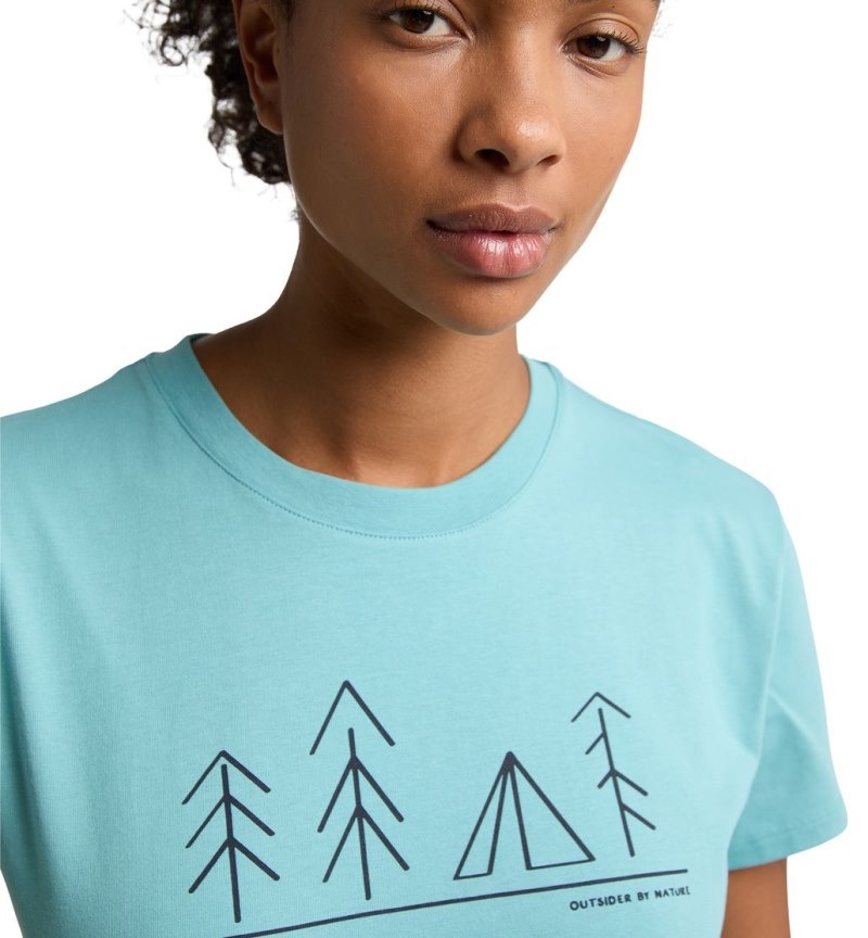 Women's Haglöfs Camp Tee T Shirts Green Blue Canada | UC48-994