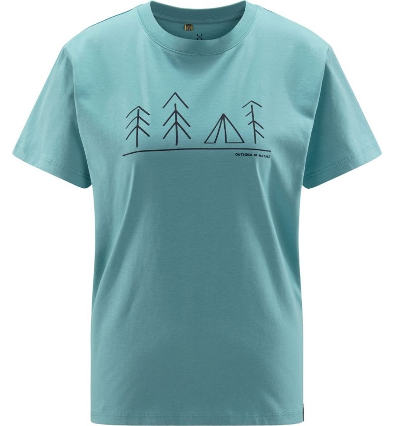 Women's Haglöfs Camp Tee T Shirts Green Blue Canada | UC48-994