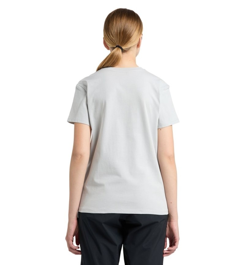 Women's Haglöfs Camp Tee T Shirts Grey Canada | QP47-258