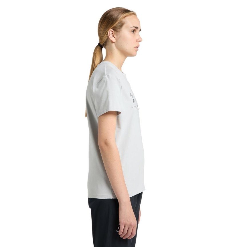 Women's Haglöfs Camp Tee T Shirts Grey Canada | QP47-258