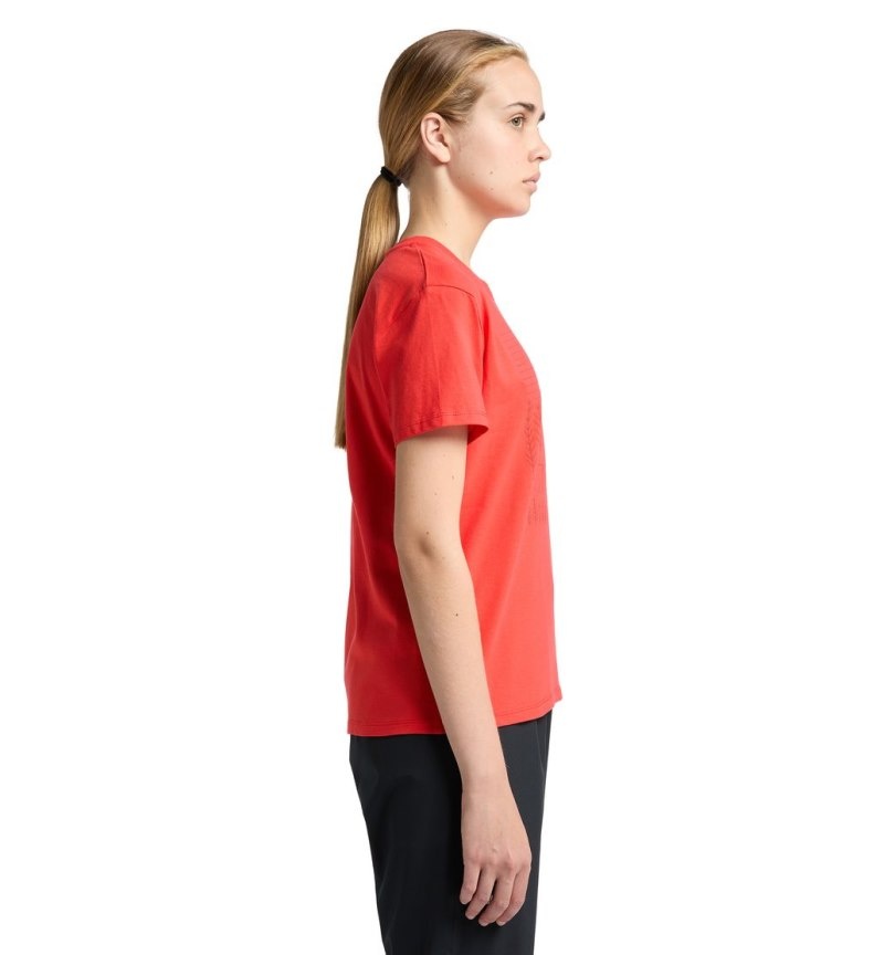 Women's Haglöfs Camp Tee T Shirts Red Canada | NF71-000