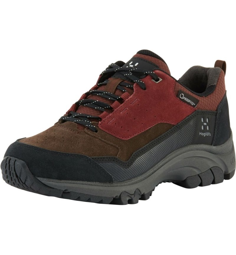 Women\'s Haglöfs Haglöfs Skuta Proof Low Hiking Shoes Red / Brown Canada | AB64-526