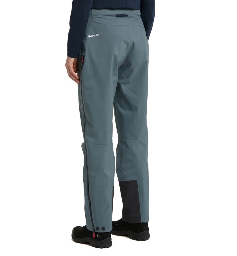 Women's Haglöfs ROC GTX Pant Waterproof Trousers Blue Canada | AP37-843